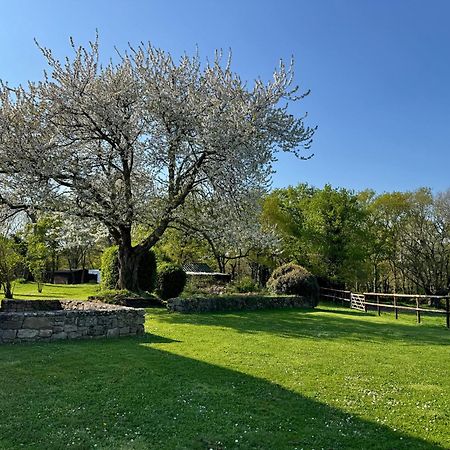 Hotel Le Domaine Du Ganquis Belz Zewnętrze zdjęcie
