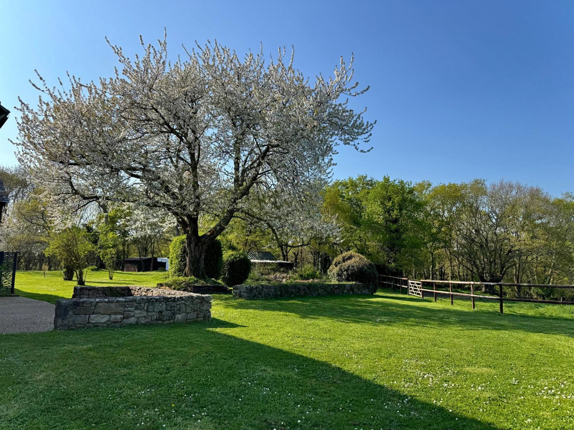 Hotel Le Domaine Du Ganquis Belz Zewnętrze zdjęcie